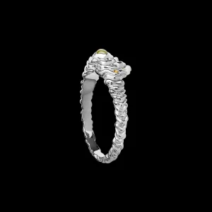 Online Aia Ring Ringer