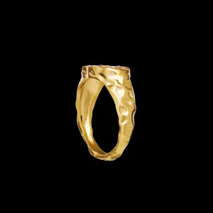 Best Demi Ring Ringer