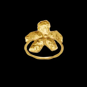 Cheap Fraisa Ring Ringer