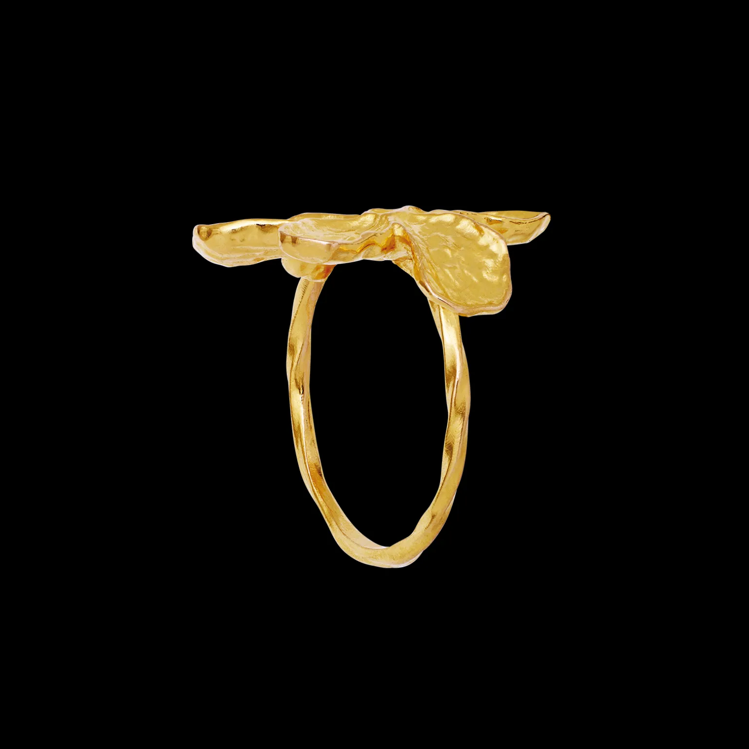 fraisa_ring_1.webp Cheap Fraisa Ring Ringer