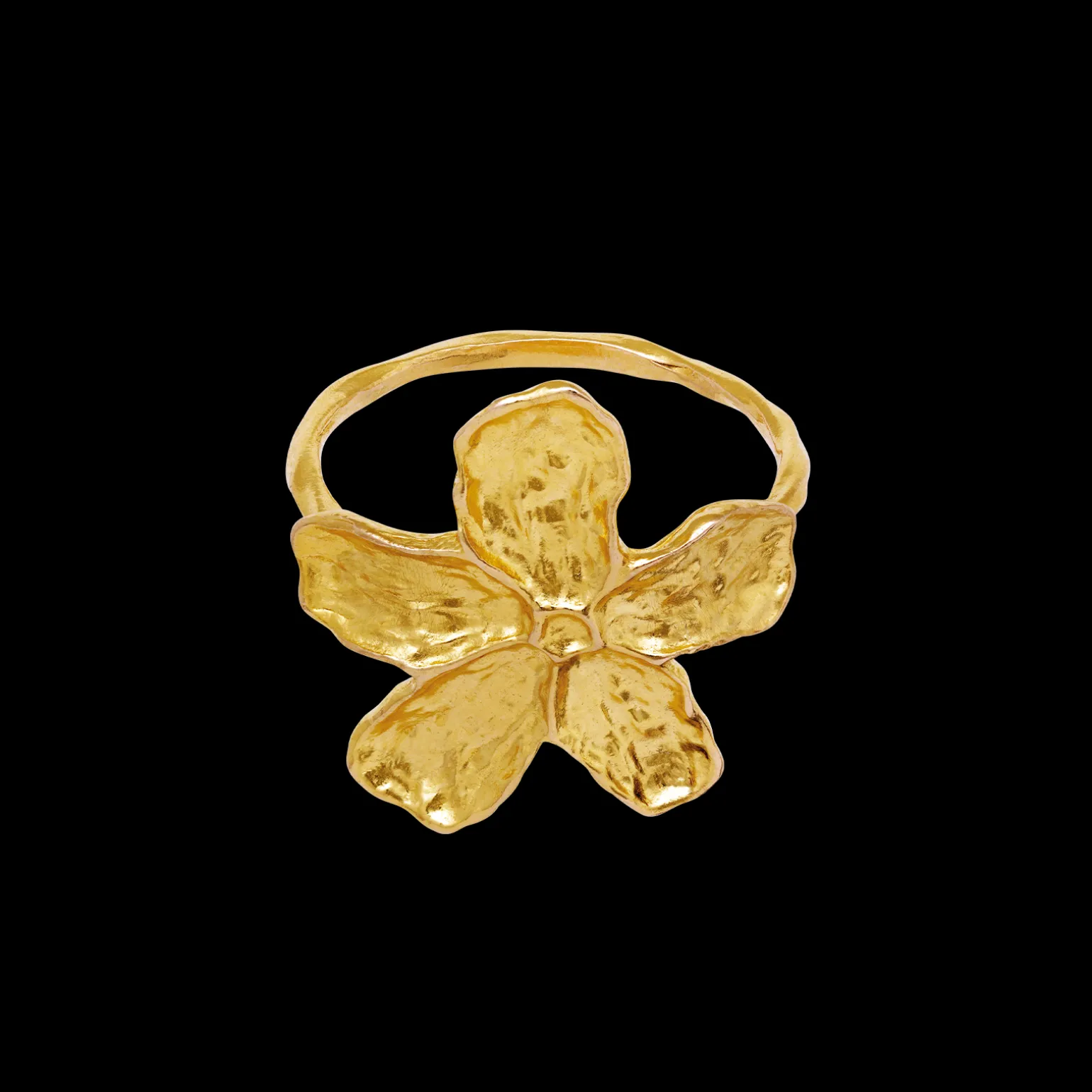 fraisa_ring_2.webp Cheap Fraisa Ring Ringer