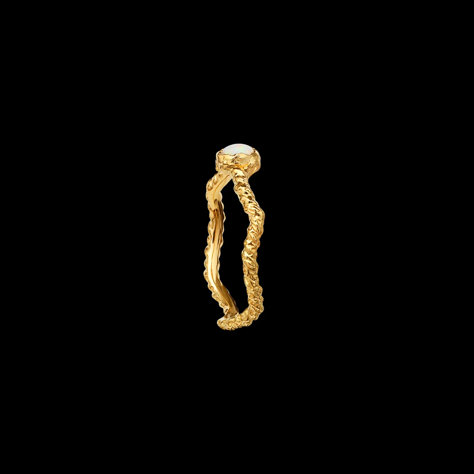 lisa_ring_1.webp Best Lisa Ring Ringer