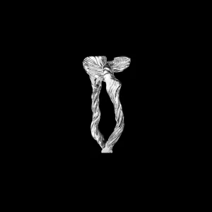 Shop Nino Ring Ringer