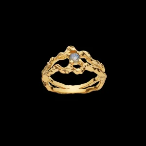 Outlet Shelly Ring Ringer