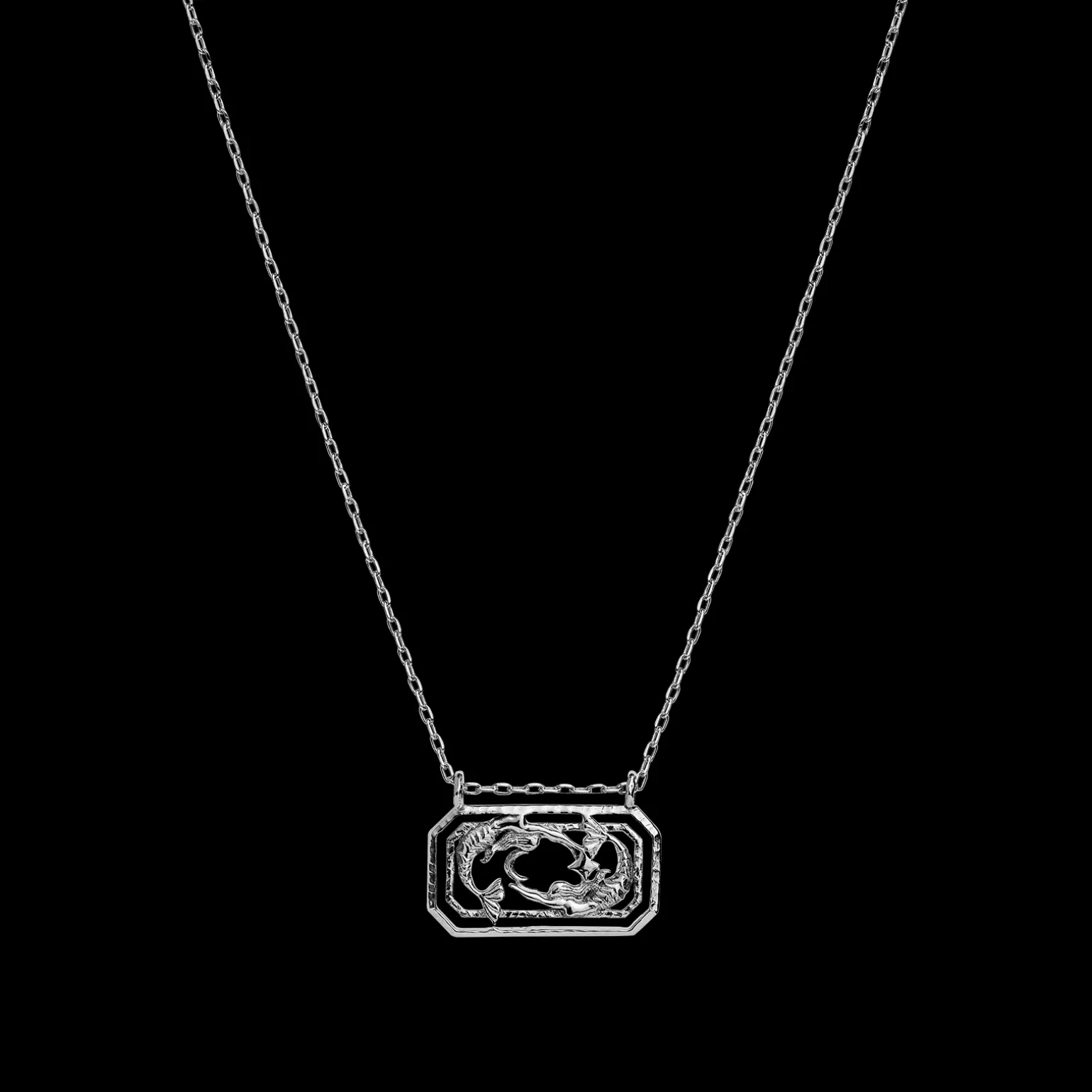 zodiac_pisces_necklace__f_0-1.webp Outlet Zodiac Pisces Necklace 19. Feb - 20. Mar Halskjeder