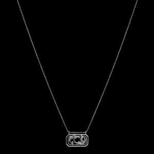 Outlet Zodiac Pisces Necklace 19. Feb - 20. Mar Halskjeder